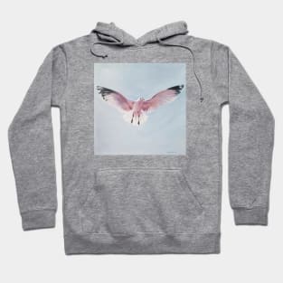 Pink Gull Hoodie